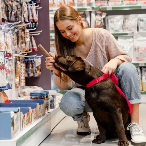 adorable-dog-with-owner-pet-shop (1) (Copy) (2)